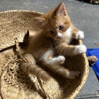 Photo of Charming