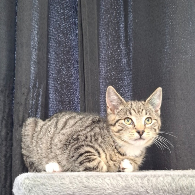Photo of Todd
