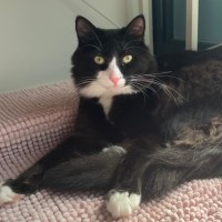 Photo of Inky