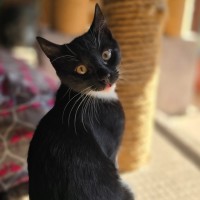 Photo of Colombus