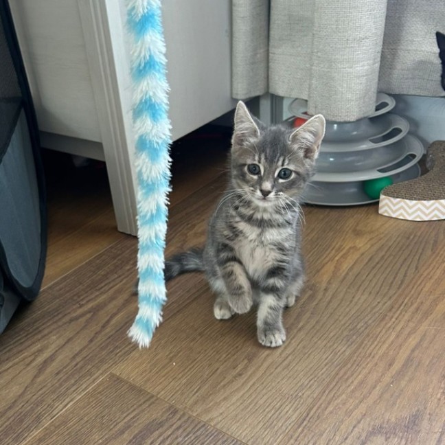 Photo of Lily