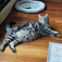 Photo of Ava   In Foster Care In Melbourne