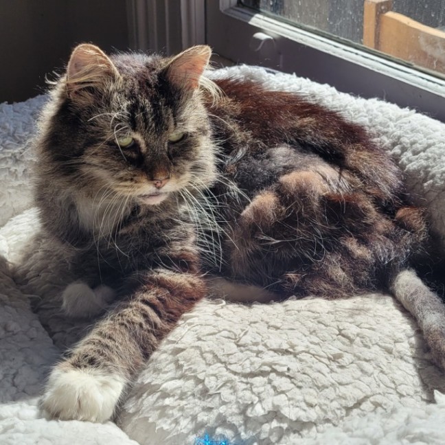 Photo of Joane