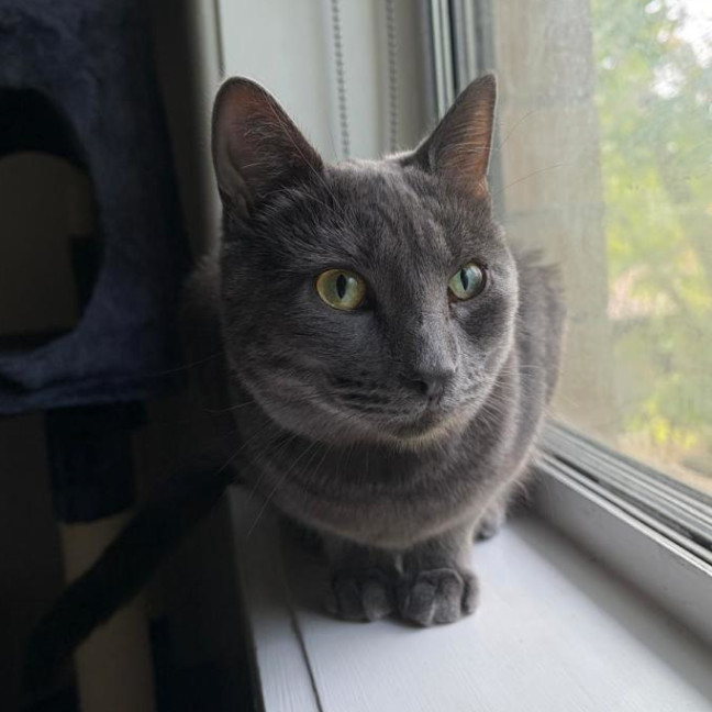 Photo of Elsa