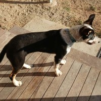 Photo of Ryke (Ry Kah)