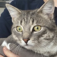 Photo of Kylian