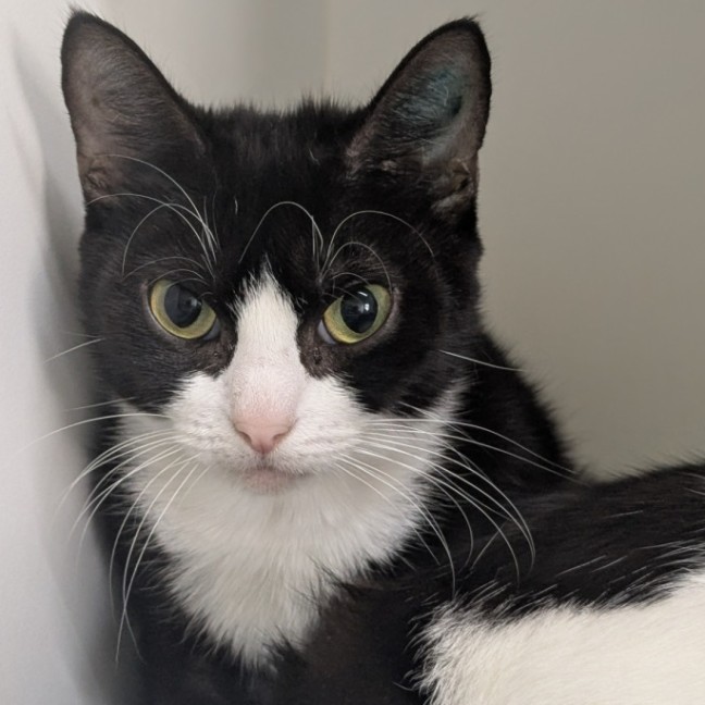 Photo of 🌼 Lorna 5797 🌼