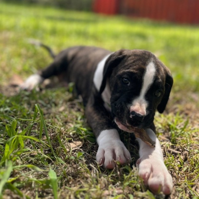 Photo of Clam Chowder