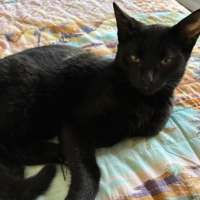 Photo of Nelson