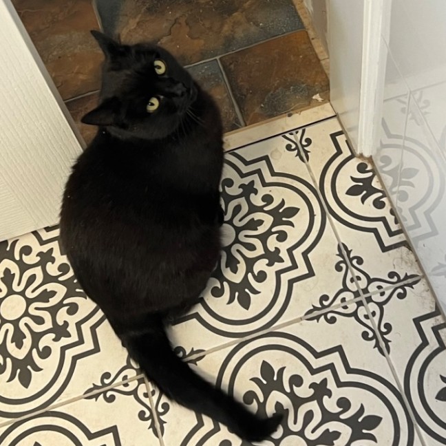 Photo of Slinky Malinki