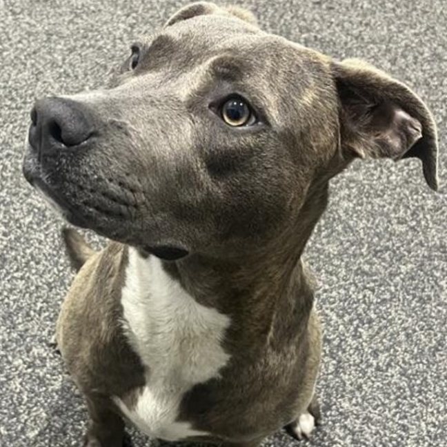 Photo of Bonnie