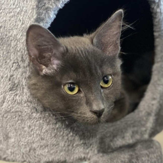 Photo of 💙 Blu 💙