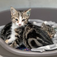 Photo of Kinki & Leelee