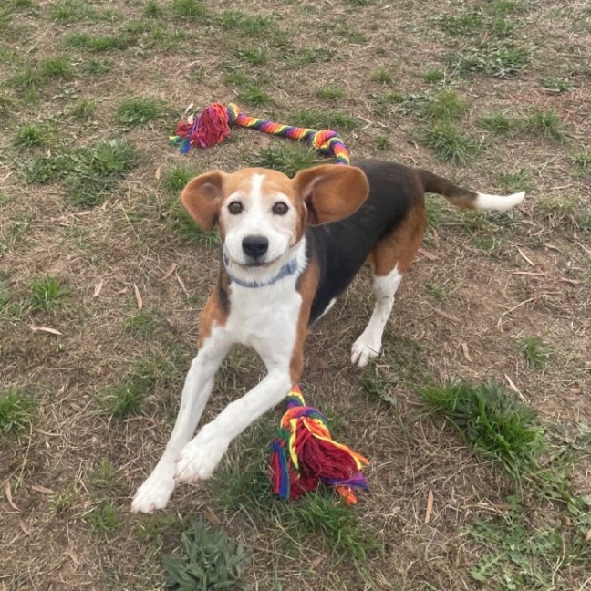 Photo of Enzo And Mia