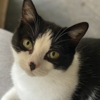 Photo of Daffy