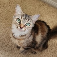 Photo of Priscilla