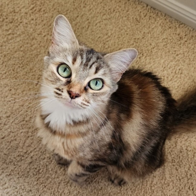 Photo of Priscilla