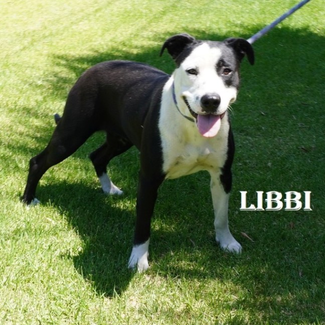 Photo of Libbi