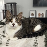 Photo of Winston