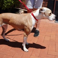 Photo of Wilma
