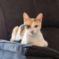 Photo of Pippa