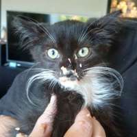 Photo of Fry & Leela 👾