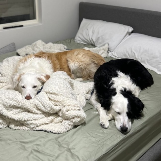 Photo of Shep And Sloane