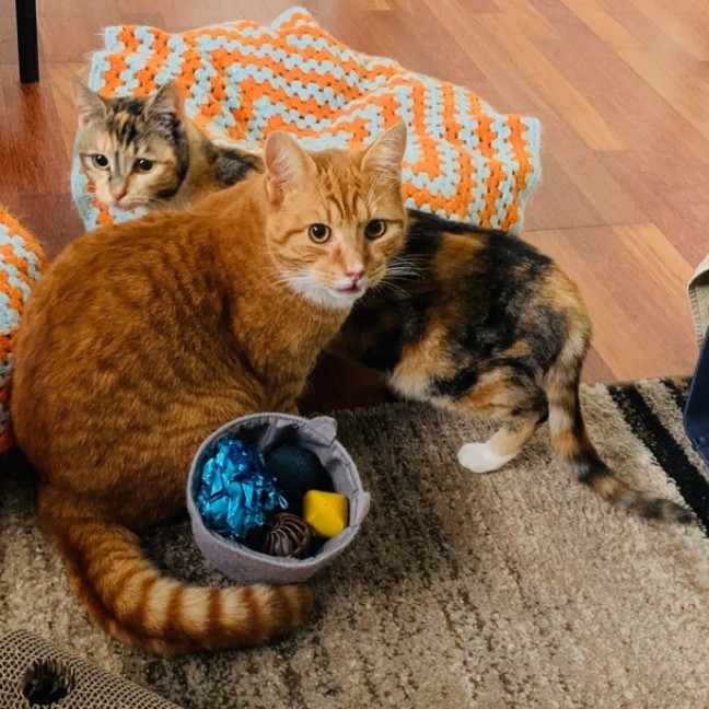 Photo of Buttons & Charlie