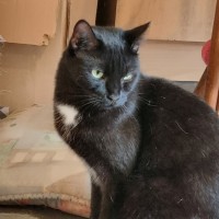 Photo of Boss