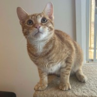 Photo of Archie