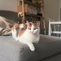 Photo of Zoey