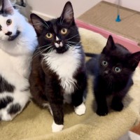 Photo of Charlotte & Benson