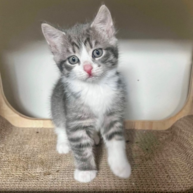 Photo of Spyro & Smokey