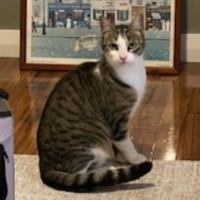 Photo of Charlotte 