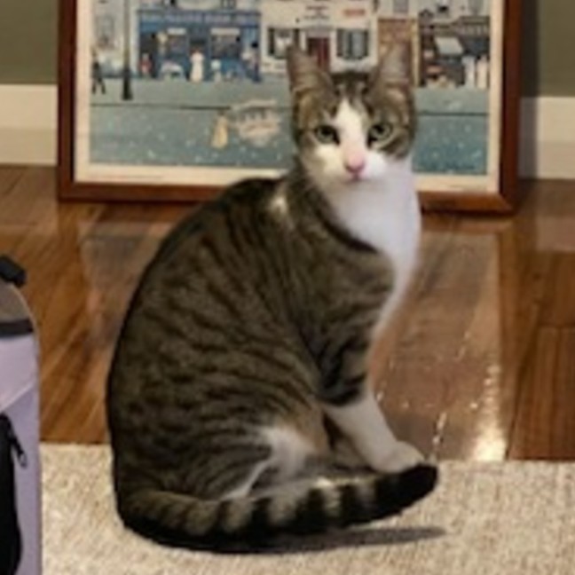 Photo of Charlotte 