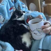 Photo of ❤️ Ruby ❤️