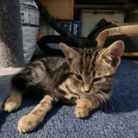 Photo of Ezra