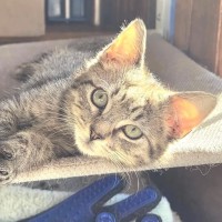 Photo of Rocky