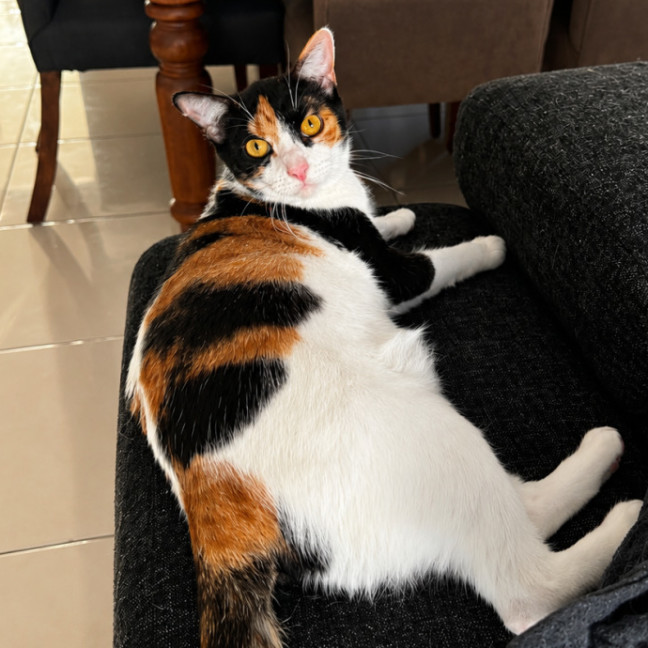 Photo of Marceline