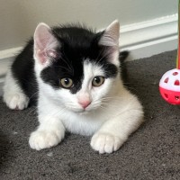 Photo of Parkway 💕