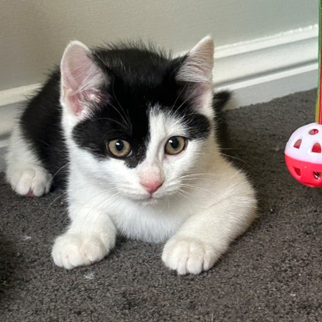 Photo of Parkway 💕