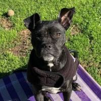 Photo of Tracy