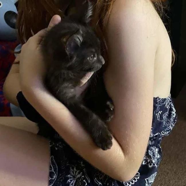 Photo of Kovu