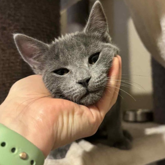 Photo of Dee   Located In Preston