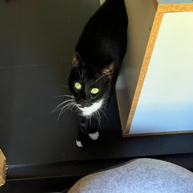 Photo of Annie