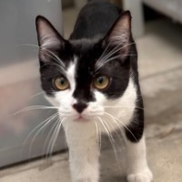 Photo of 🧡 Bandit 🧡