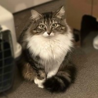 Photo of Leia ☁️