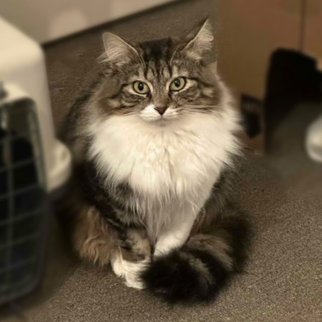 Photo of Leia ☁️