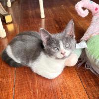 Photo of Grimmerie ‘Grimmy’