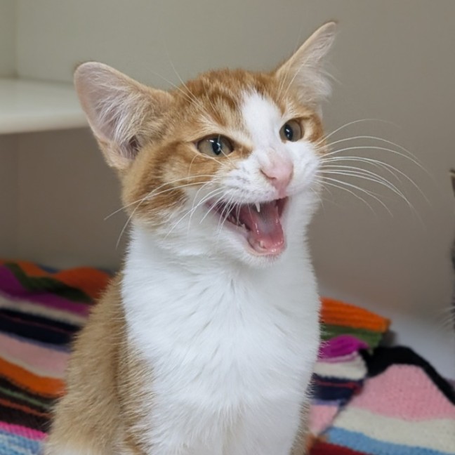 Photo of 🌞 Sunny 6751 🌞